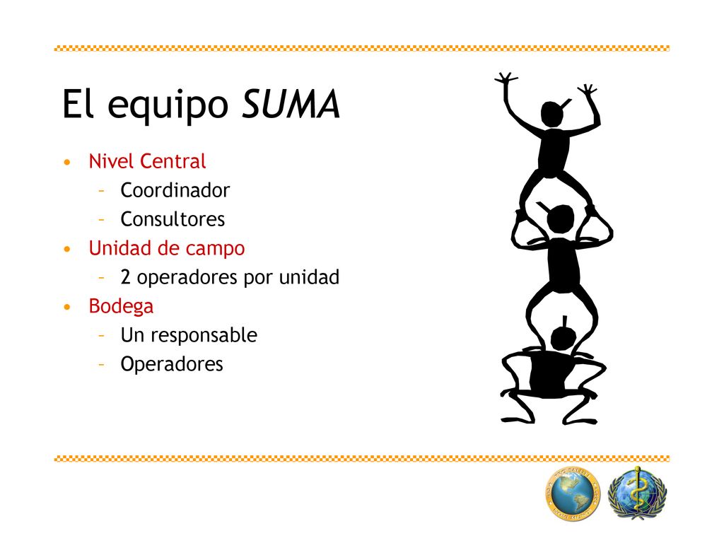 El equipo SUMA Nivel Central Coordinador Consultores Unidad de campo