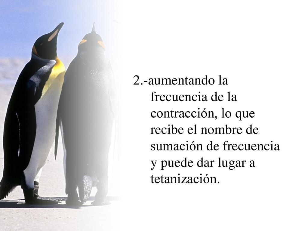 2.-aumentando la frecuencia de la contracción, lo que recibe el nombre de sumación de frecuencia y puede dar lugar a tetanización.