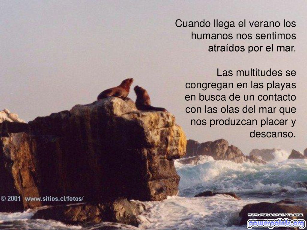 Cuando llega el verano los humanos nos sentimos atraídos por el mar.