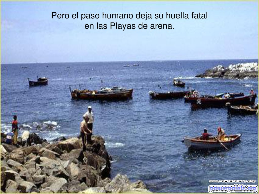 Pero el paso humano deja su huella fatal en las Playas de arena.