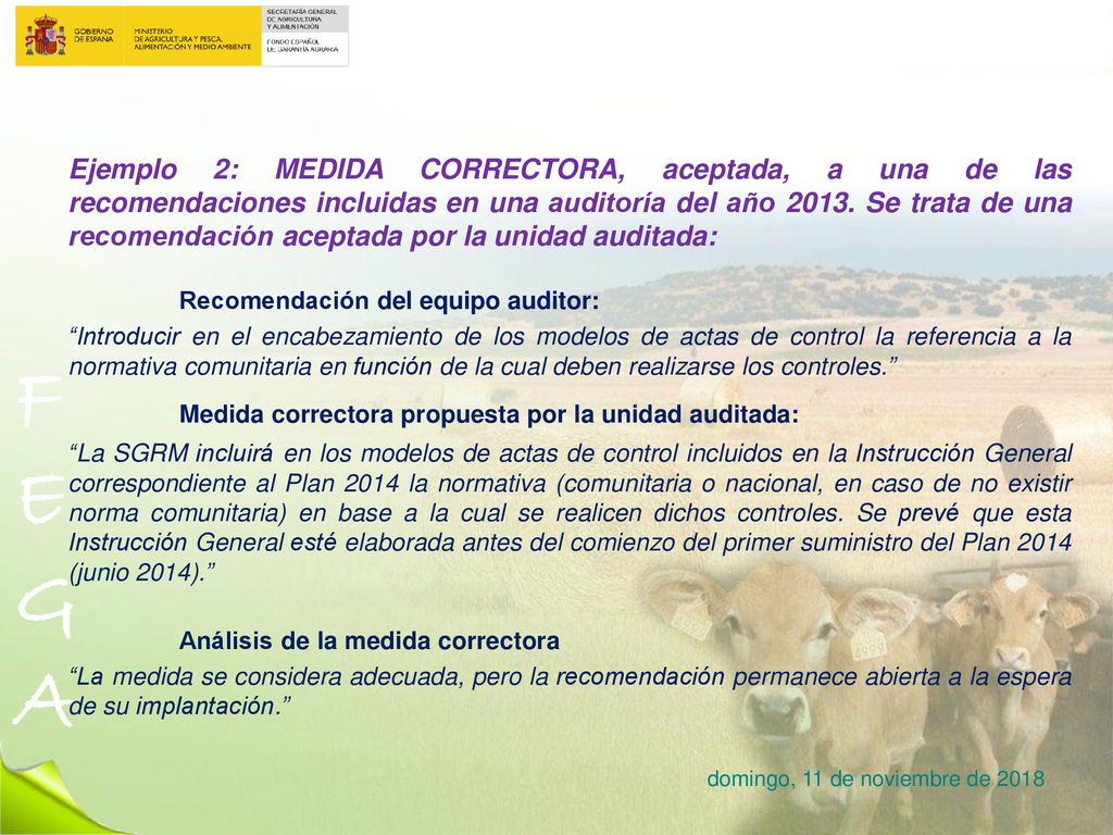 Ejemplo 2: MEDIDA CORRECTORA, aceptada, a una de las recomendaciones incluidas en una auditoría del año Se trata de una recomendación aceptada por la unidad auditada: