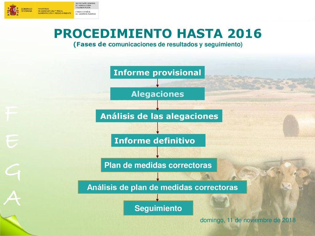 Análisis de las alegaciones Análisis de plan de medidas correctoras