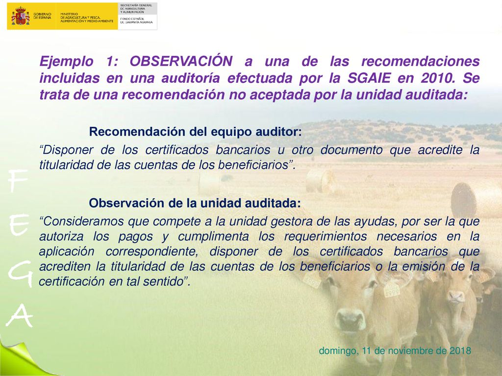 Ejemplo 1: OBSERVACIÓN a una de las recomendaciones incluidas en una auditoría efectuada por la SGAIE en Se trata de una recomendación no aceptada por la unidad auditada: