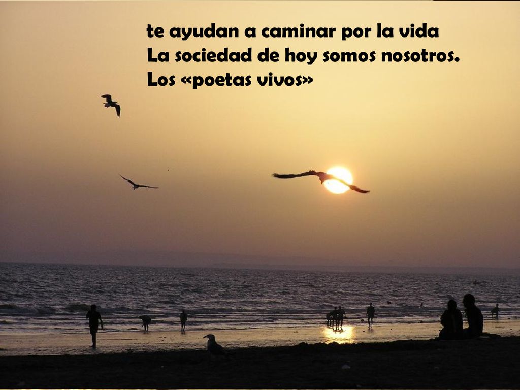 te ayudan a caminar por la vida La sociedad de hoy somos nosotros