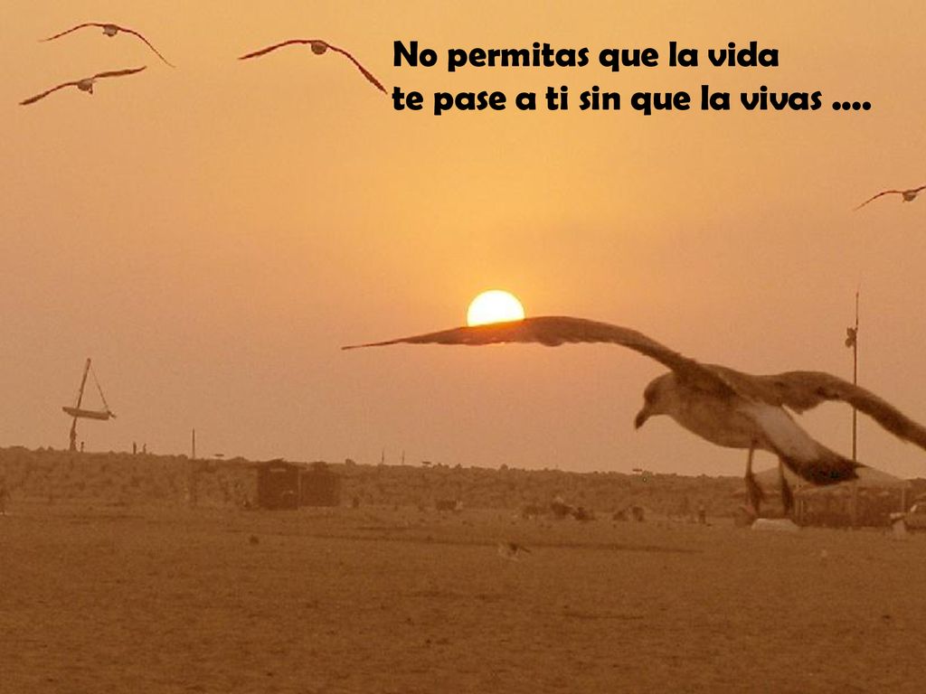 No permitas que la vida te pase a ti sin que la vivas ....