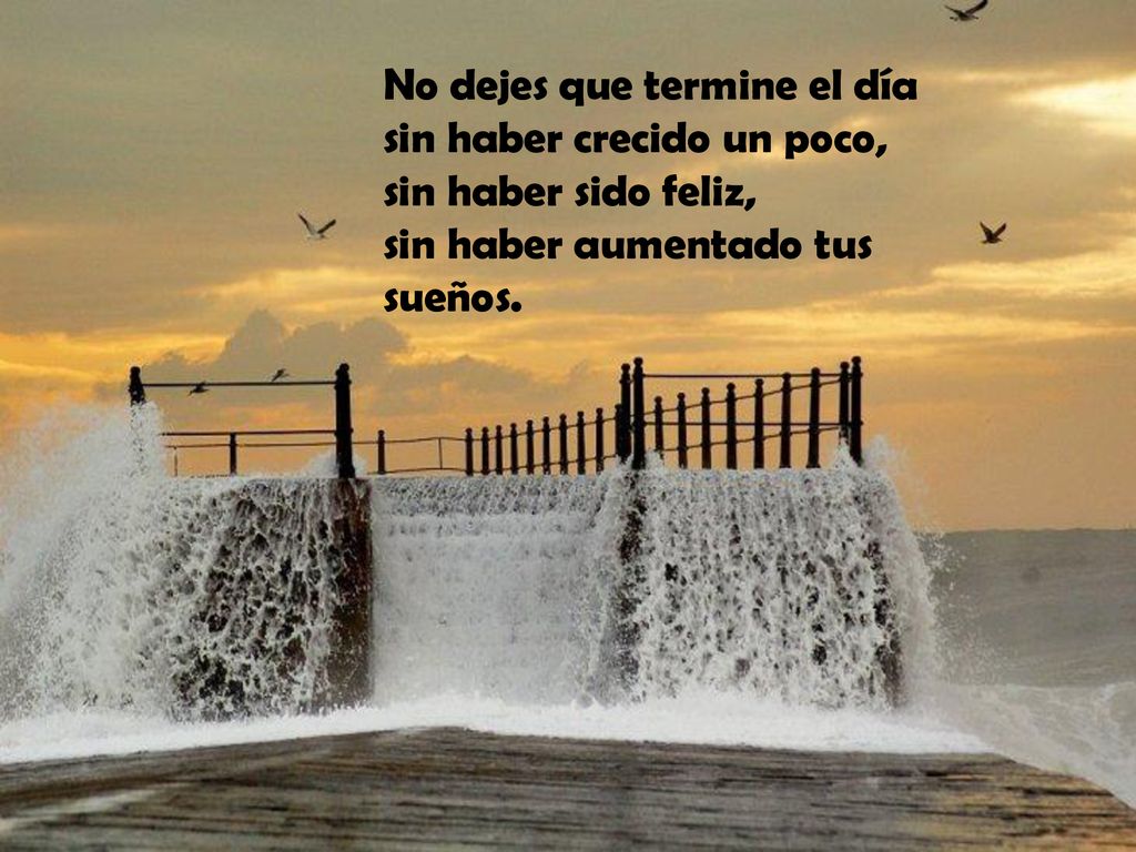No dejes que termine el día sin haber crecido un poco, sin haber sido feliz, sin haber aumentado tus sueños.