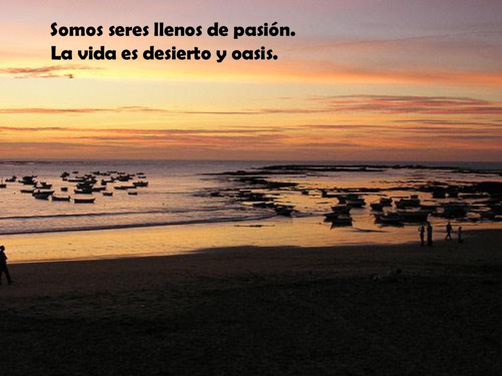 Somos seres llenos de pasión. La vida es desierto y oasis.