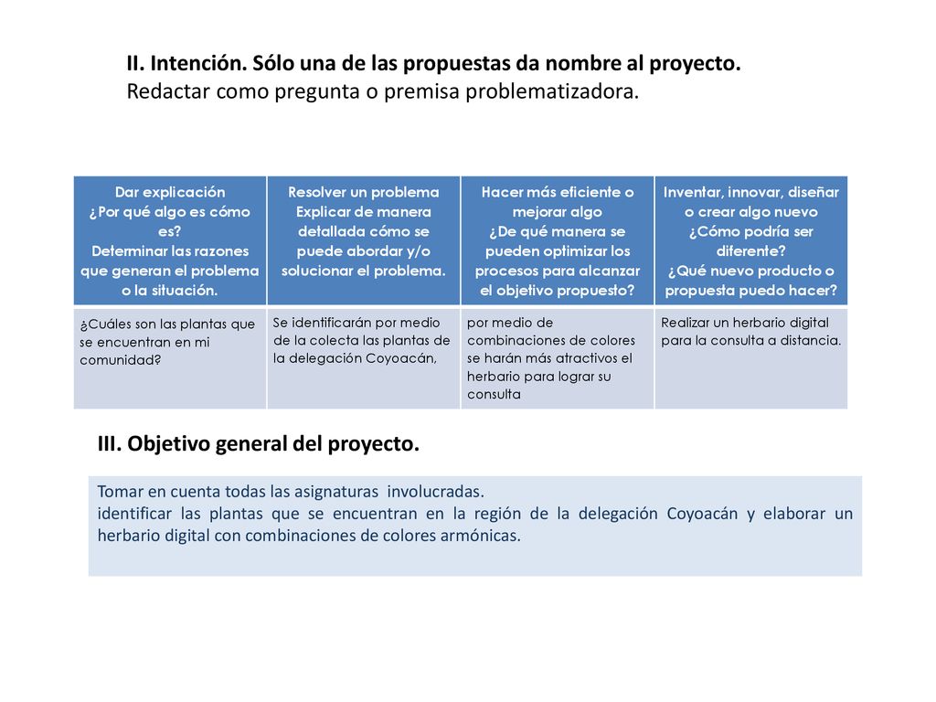 II. Intención. Sólo una de las propuestas da nombre al proyecto.