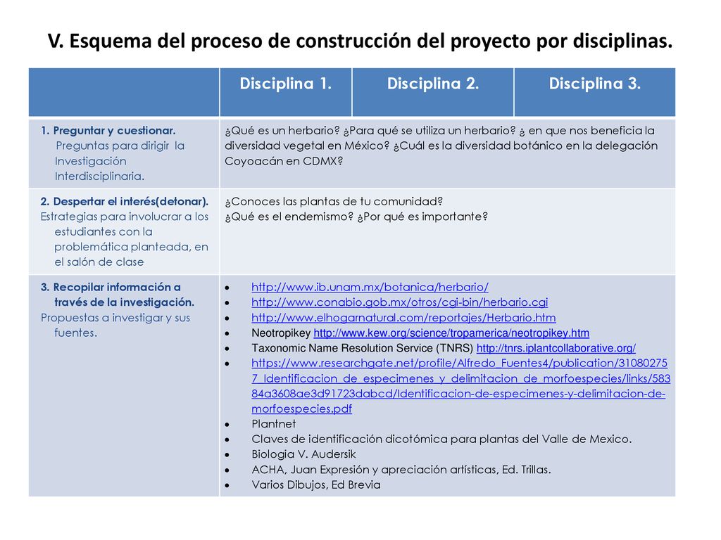V. Esquema del proceso de construcción del proyecto por disciplinas.