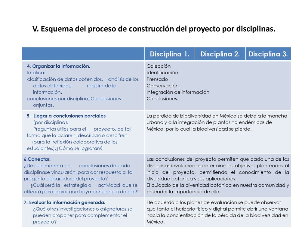 V. Esquema del proceso de construcción del proyecto por disciplinas.