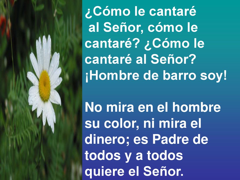 ¿Cómo le cantaré al Señor, cómo le cantaré ¿Cómo le cantaré al Señor ¡Hombre de barro soy! No mira en el hombre.