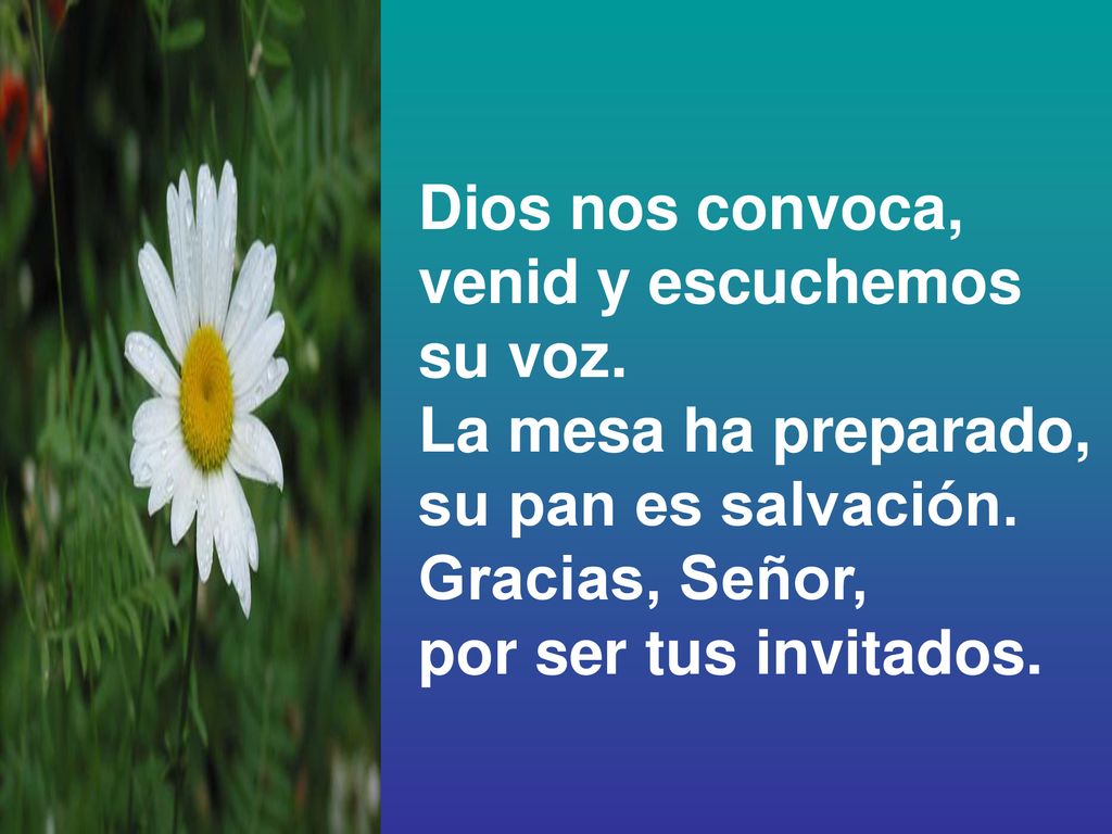 Dios nos convoca, venid y escuchemos. su voz. La mesa ha preparado, su pan es salvación. Gracias, Señor,