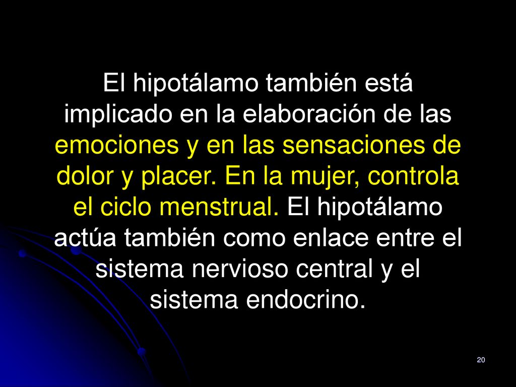 El hipotálamo también está implicado en la elaboración de las emociones y en las sensaciones de dolor y placer.