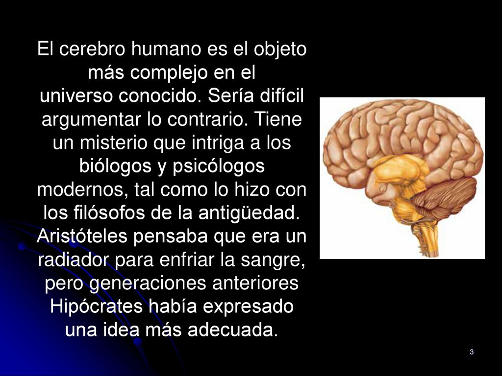 El cerebro humano es el objeto más complejo en el