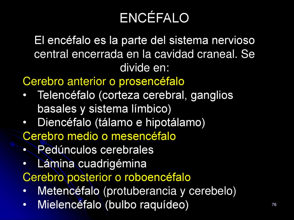 ENCÉFALO El encéfalo es la parte del sistema nervioso central encerrada en la cavidad craneal. Se divide en:
