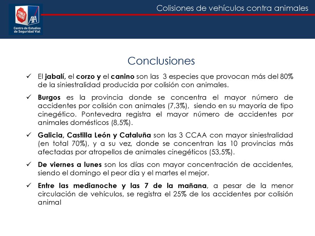 Conclusiones El jabalí, el corzo y el canino son las 3 especies que provocan más del 80% de la siniestralidad producida por colisión con animales.