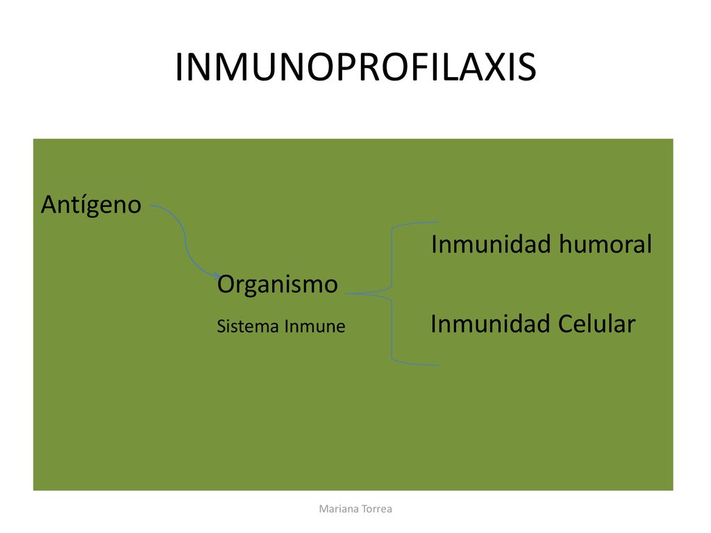 INMUNOPROFILAXIS Antígeno Inmunidad humoral Organismo Sistema Inmune Inmunidad Celular Mariana Torrea.