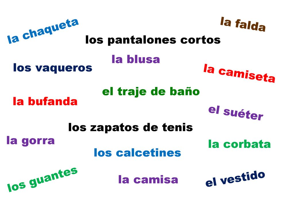 la falda la chaqueta. los pantalones cortos. la blusa. los vaqueros. la camiseta. el traje de baño.