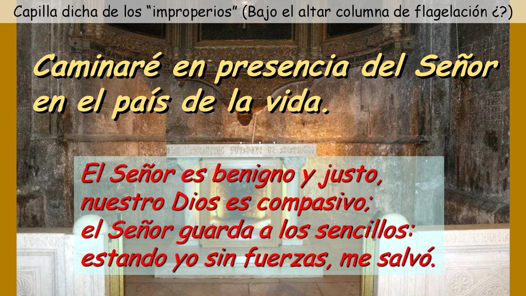 Caminaré en presencia del Señor en el país de la vida.
