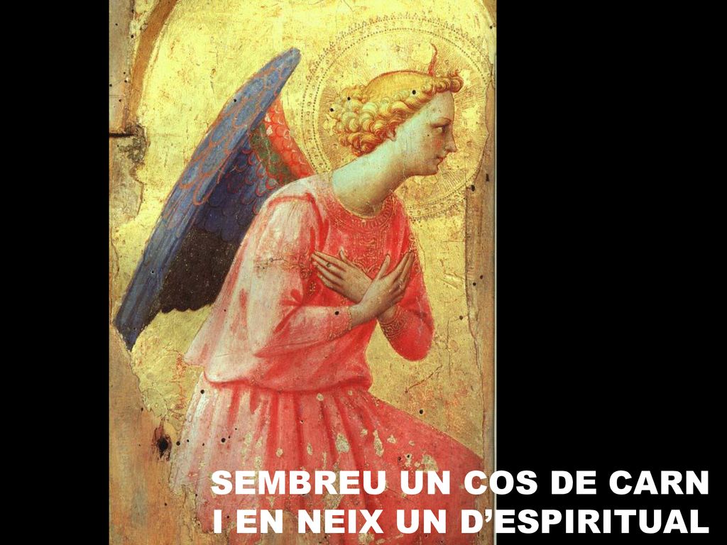 SEMBREU UN COS DE CARN I EN NEIX UN D’ESPIRITUAL
