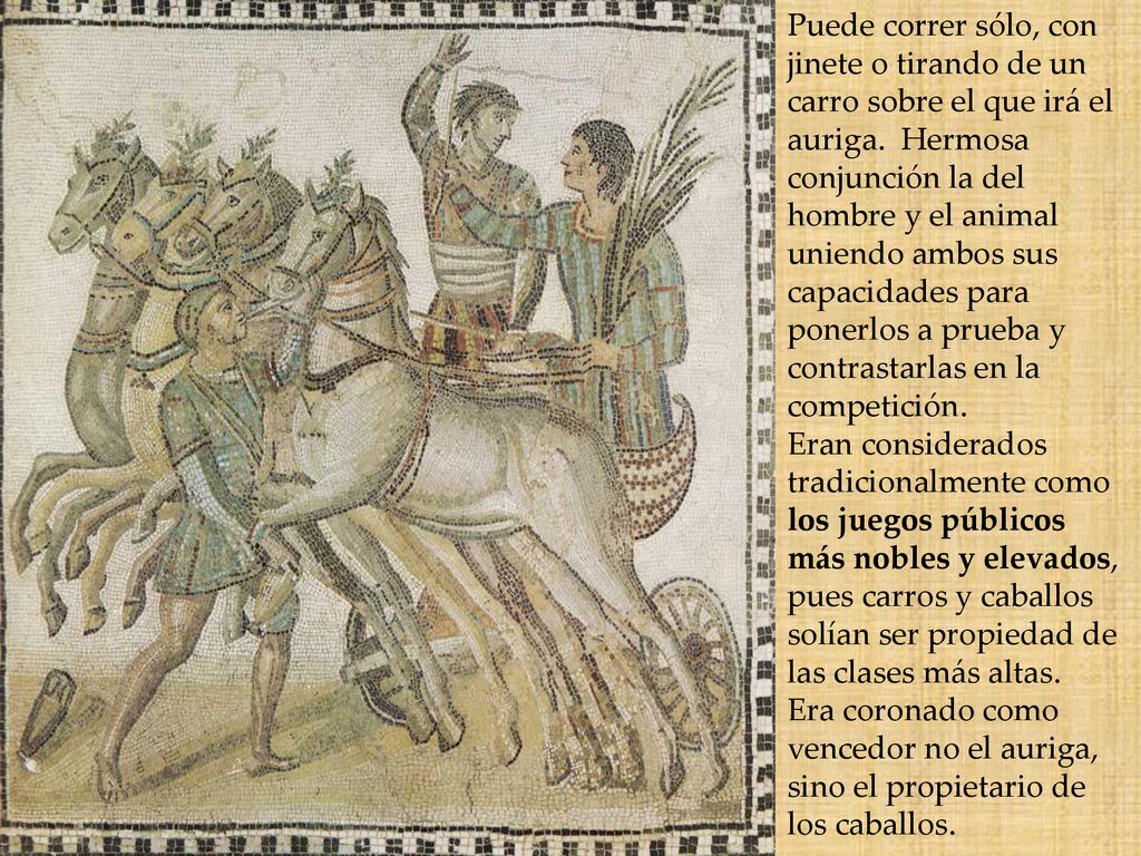 Puede correr sólo, con jinete o tirando de un carro sobre el que irá el auriga. Hermosa conjunción la del hombre y el animal uniendo ambos sus capacidades para ponerlos a prueba y contrastarlas en la competición.