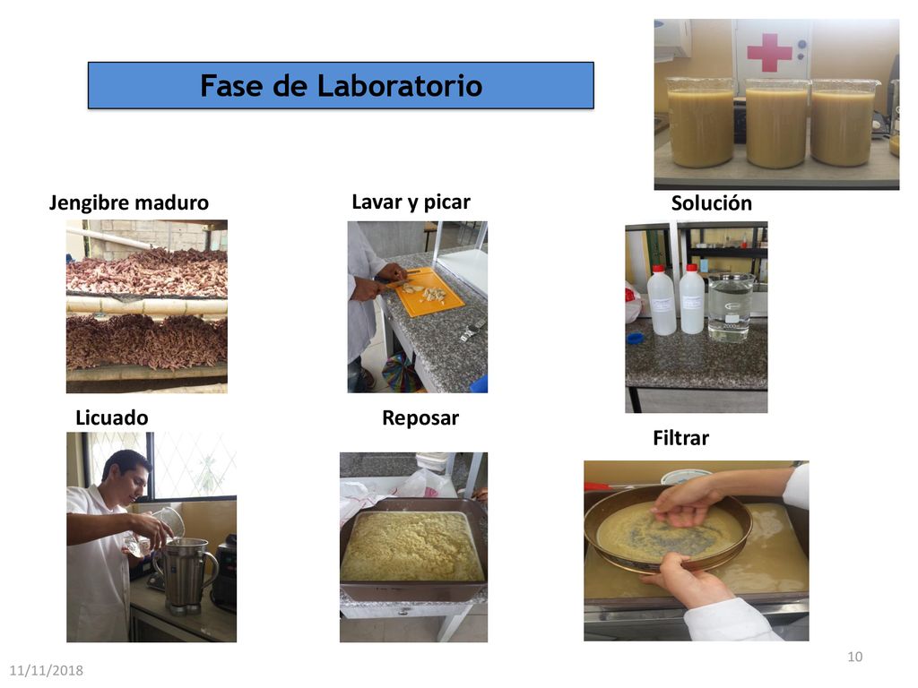 Fase de Laboratorio Jengibre maduro Lavar y picar Solución Licuado