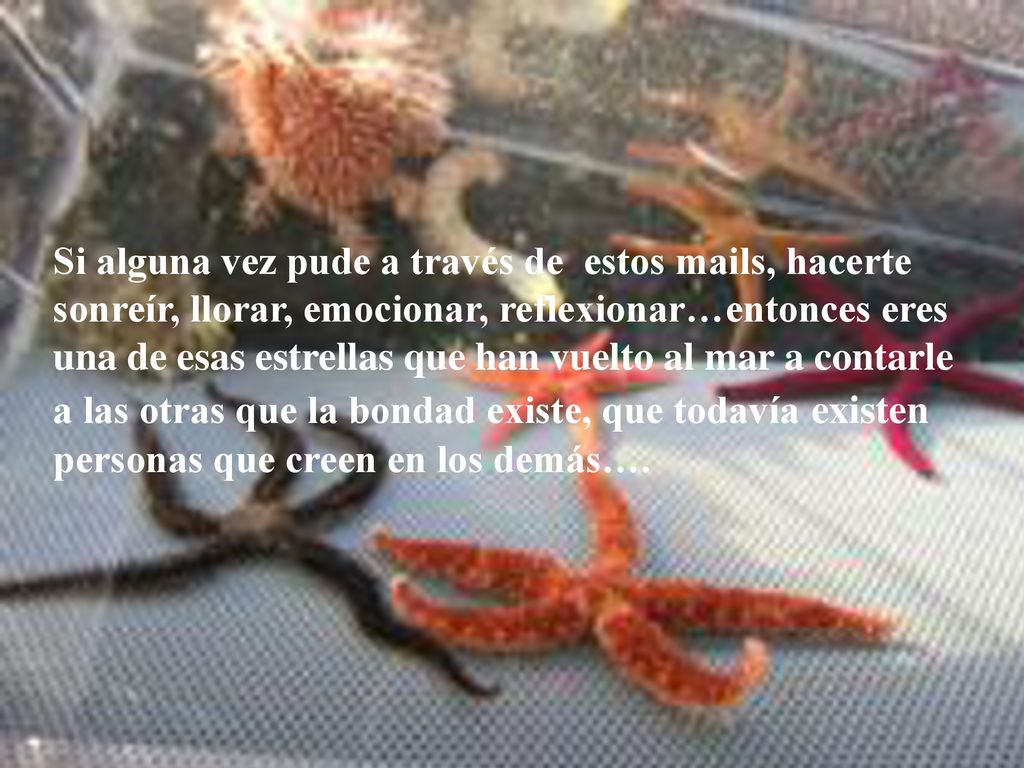 Lemnos Si alguna vez pude a través de estos mails, hacerte
