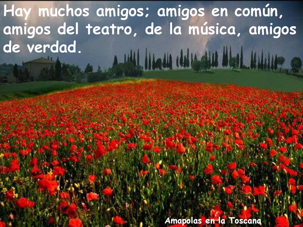 Hay muchos amigos; amigos en común, amigos del teatro, de la música, amigos de verdad.