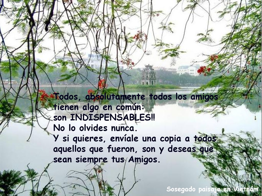 Todos, absolutamente todos los amigos tienen algo en común: son INDISPENSABLES!! No lo olvides nunca. Y si quieres, envíale una copia a todos aquellos que fueron, son y deseas que sean siempre tus Amigos.