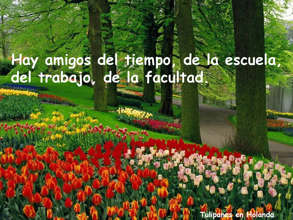 Hay amigos del tiempo, de la escuela, del trabajo, de la facultad.
