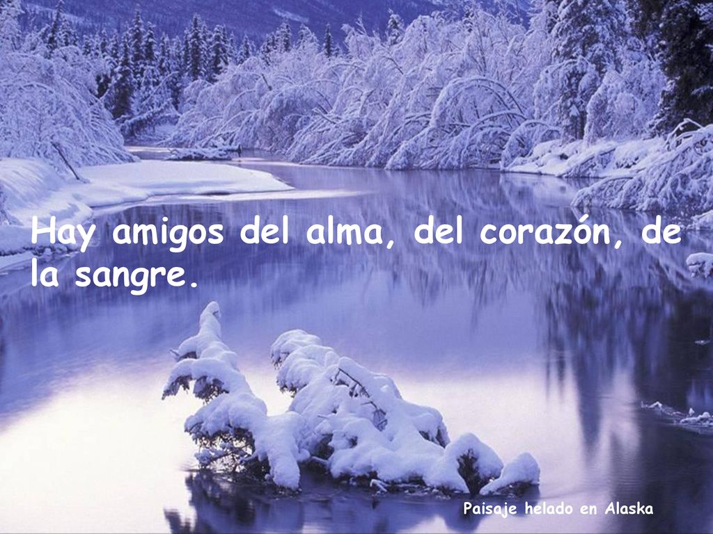Hay amigos del alma, del corazón, de la sangre.
