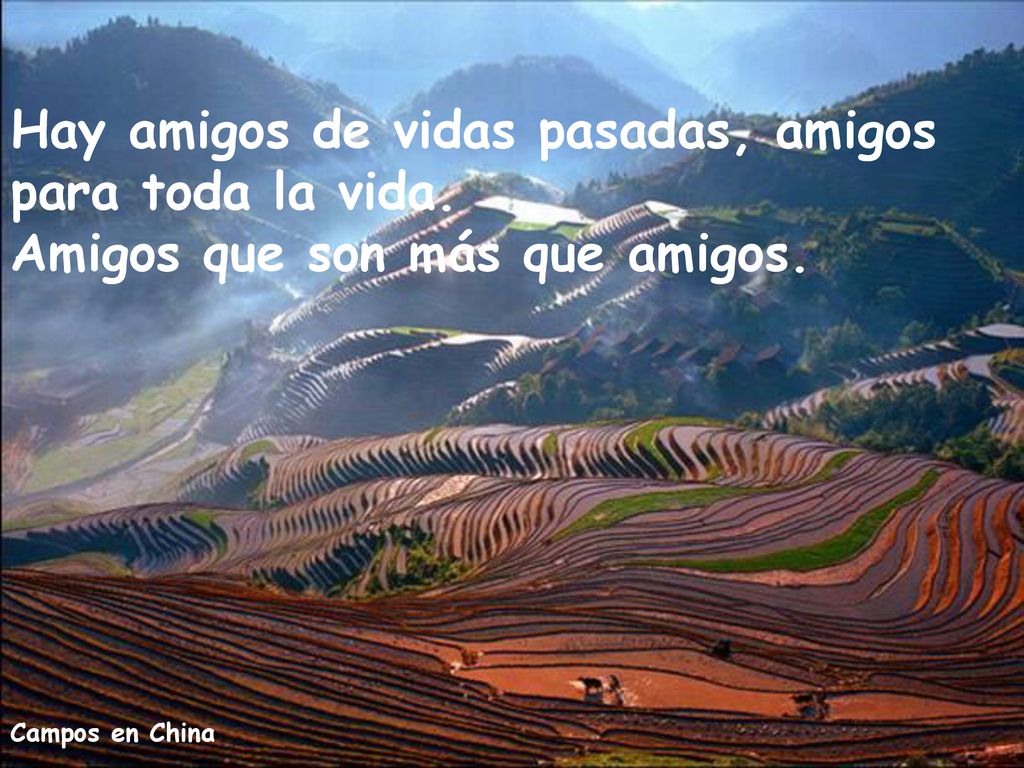 Hay amigos de vidas pasadas, amigos para toda la vida.