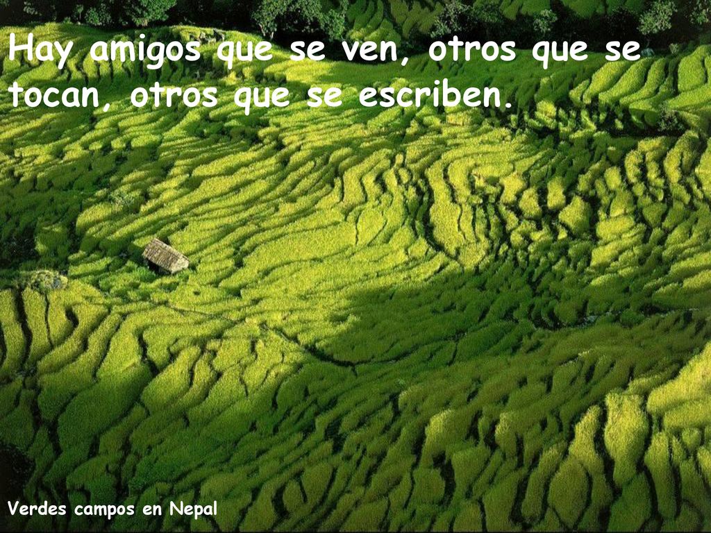 Hay amigos que se ven, otros que se tocan, otros que se escriben.