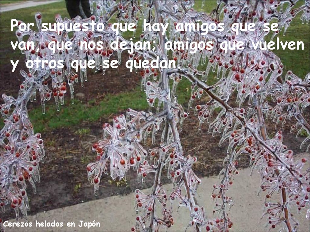 Por supuesto que hay amigos que se van, que nos dejan; amigos que vuelven y otros que se quedan.