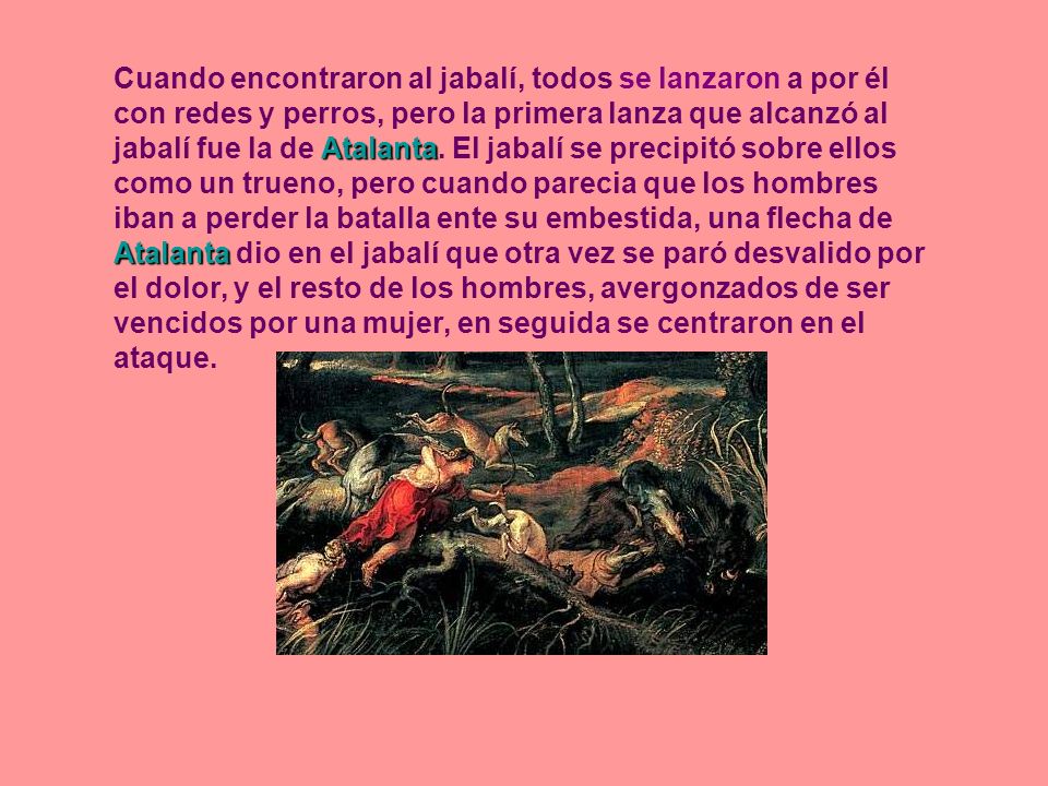 Cuando encontraron al jabalí, todos se lanzaron a por él con redes y perros, pero la primera lanza que alcanzó al jabalí fue la de Atalanta.