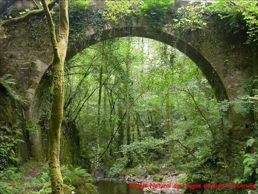 Parque Natural de Fragas do Eume-A Coruña