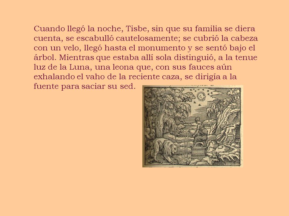 Cuando llegó la noche, Tisbe, sin que su familia se diera cuenta, se escabulló cautelosamente; se cubrió la cabeza con un velo, llegó hasta el monumento y se sentó bajo el árbol.