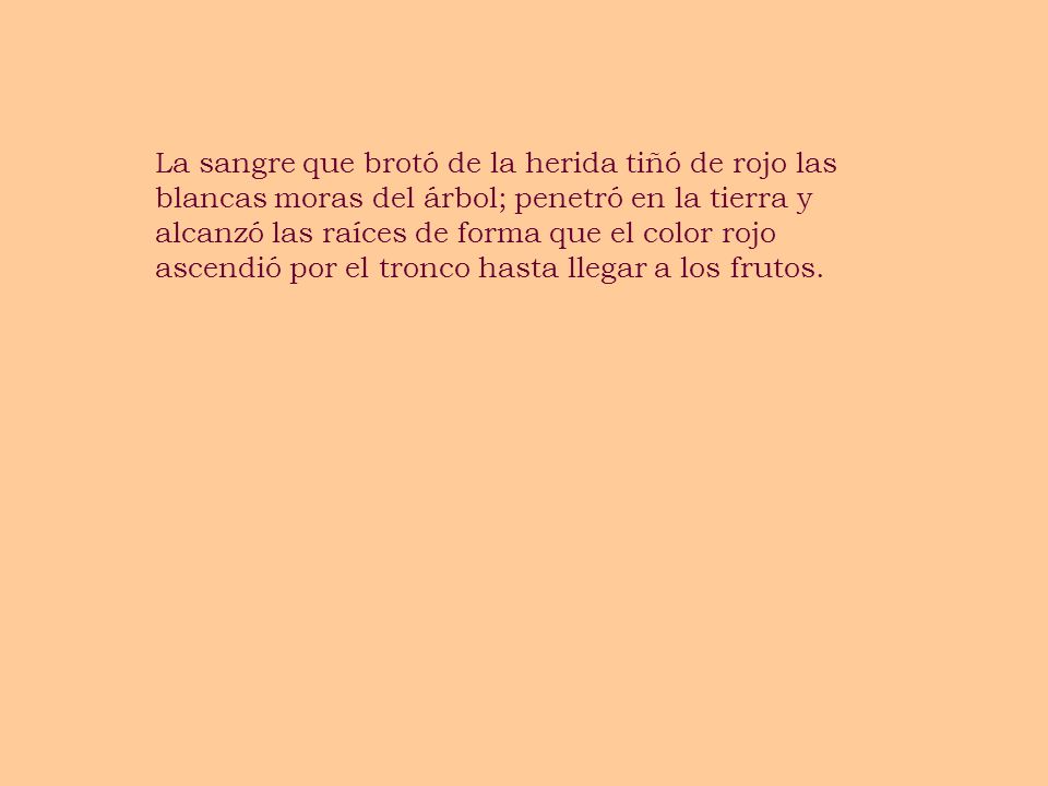 La sangre que brotó de la herida tiñó de rojo las blancas moras del árbol; penetró en la tierra y alcanzó las raíces de forma que el color rojo ascendió por el tronco hasta llegar a los frutos.