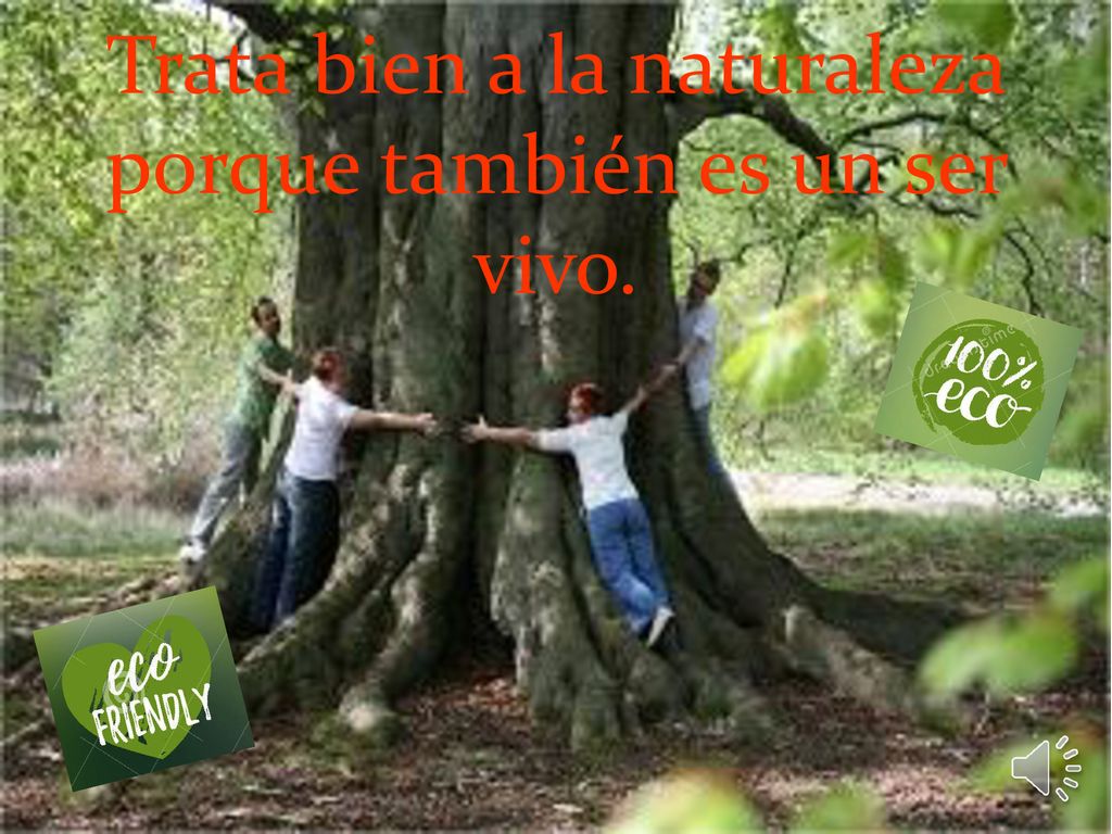Trata bien a la naturaleza porque también es un ser vivo.