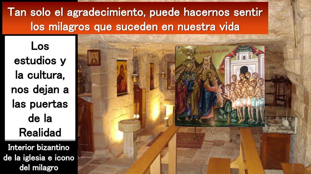 Los estudios y la cultura, nos dejan a las puertas de la Realidad