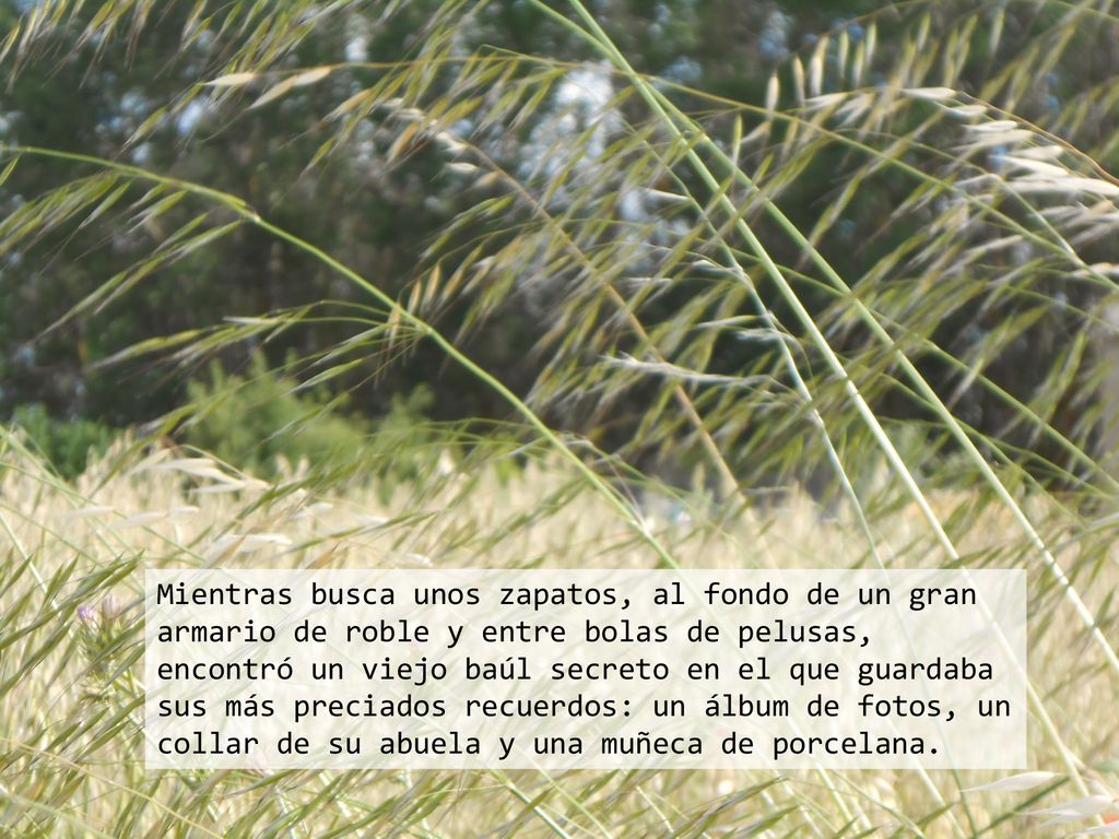 Mientras busca unos zapatos, al fondo de un gran armario de roble y entre bolas de pelusas, encontró un viejo baúl secreto en el que guardaba sus más preciados recuerdos: un álbum de fotos, un collar de su abuela y una muñeca de porcelana.