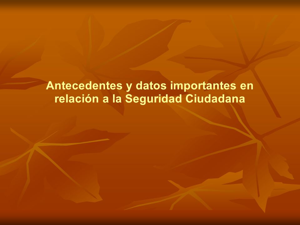 Antecedentes y datos importantes en relación a la Seguridad Ciudadana