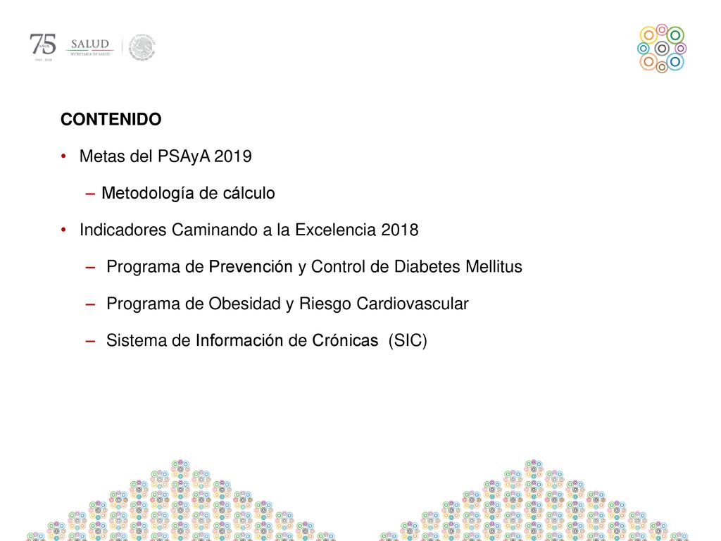 CONTENIDO Metas del PSAyA Metodología de cálculo. Indicadores Caminando a la Excelencia