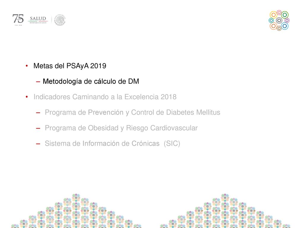 Metas del PSAyA 2019 Metodología de cálculo de DM. Indicadores Caminando a la Excelencia