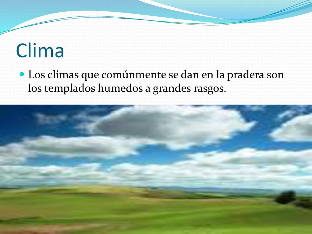 Clima Los climas que comúnmente se dan en la pradera son los templados humedos a grandes rasgos.