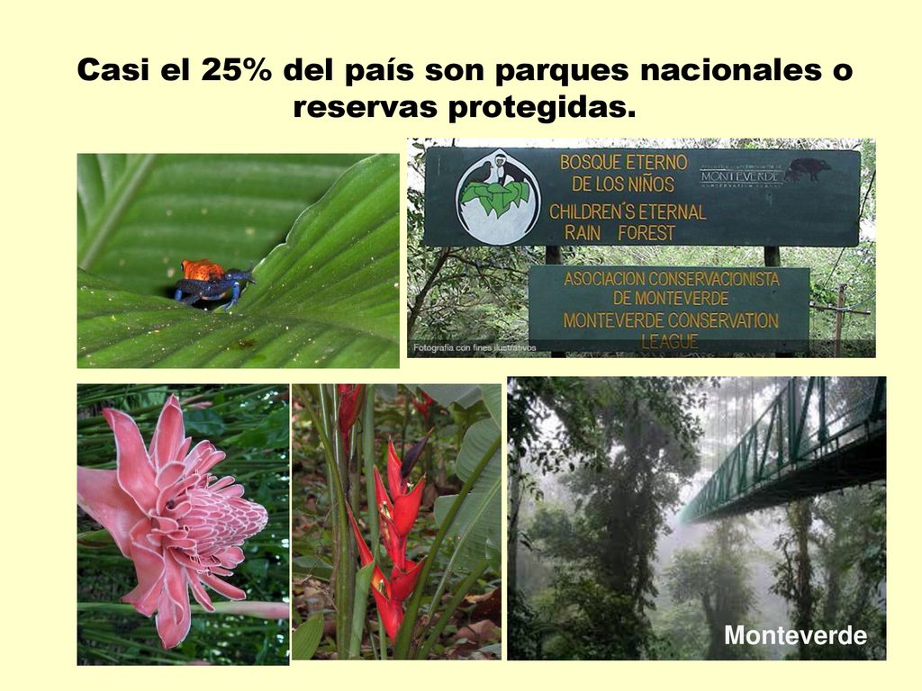 Casi el 25% del país son parques nacionales o reservas protegidas.
