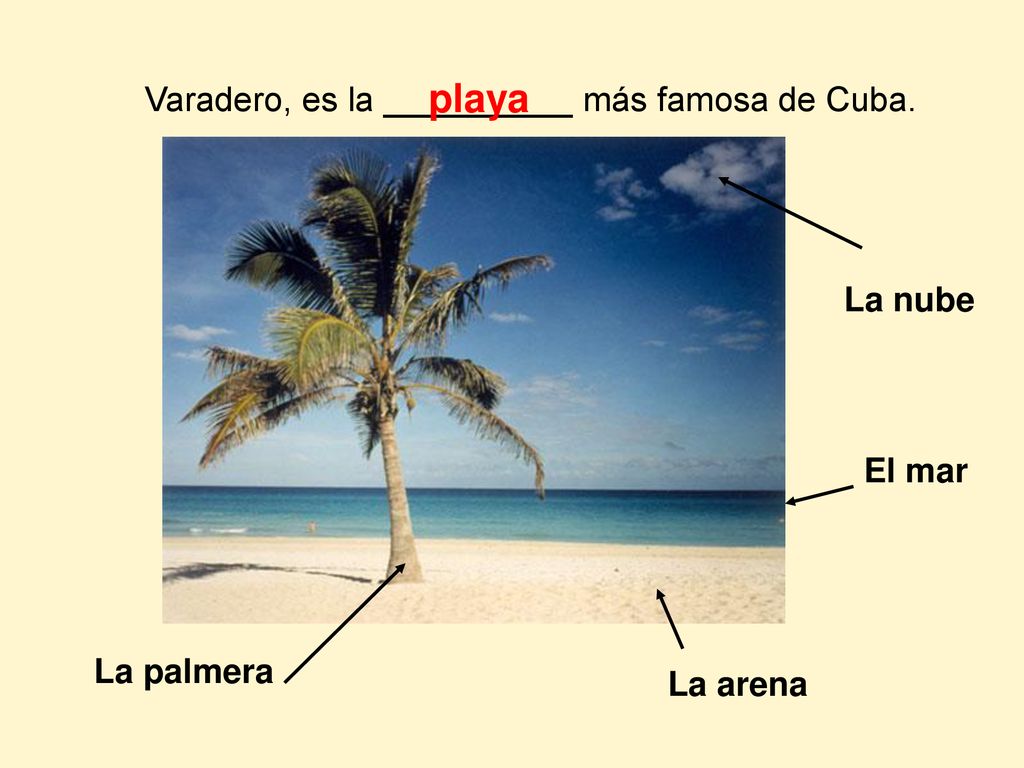 playa Varadero, es la __________ más famosa de Cuba. La nube El mar