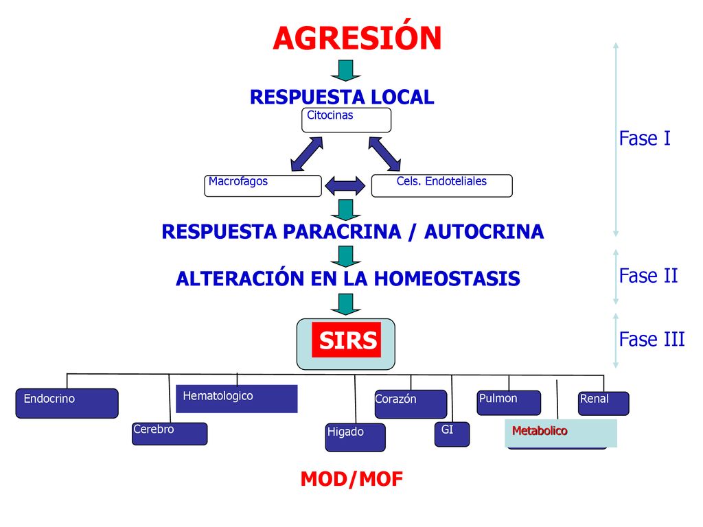 AGRESIÓN SIRS RESPUESTA LOCAL Fase I RESPUESTA PARACRINA / AUTOCRINA