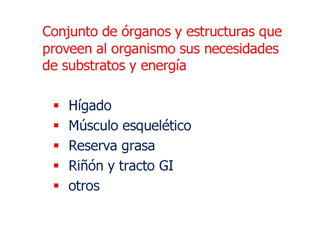 Conjunto de órganos y estructuras que proveen al organismo sus necesidades de substratos y energía