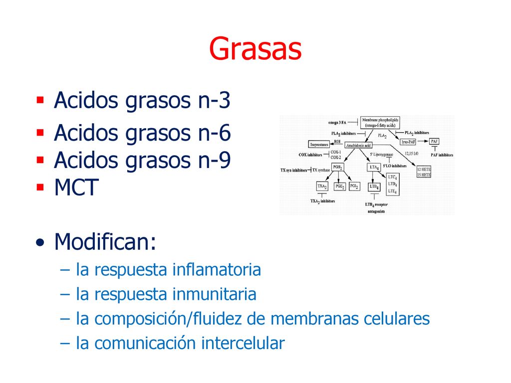 Grasas Acidos grasos n-3 Acidos grasos n-6 Acidos grasos n-9 MCT